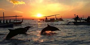 Read more about the article Lovina Beach