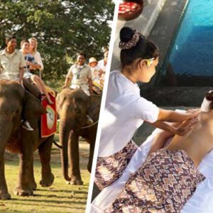 Elephant Ride & Spa Tour