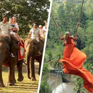 Elephant Ride & Swing Tour