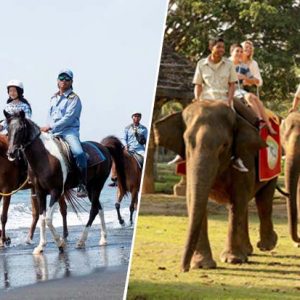 Horse Riding & Elephant Ride