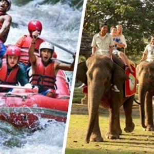 Rafting & Elephant Ride Tour
