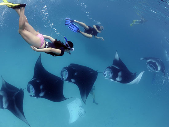 West Nusa Penida Tour & Snorkeling